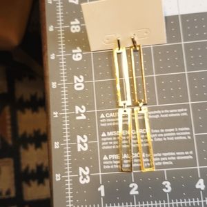 HOT CHICK CHUNK Earnings